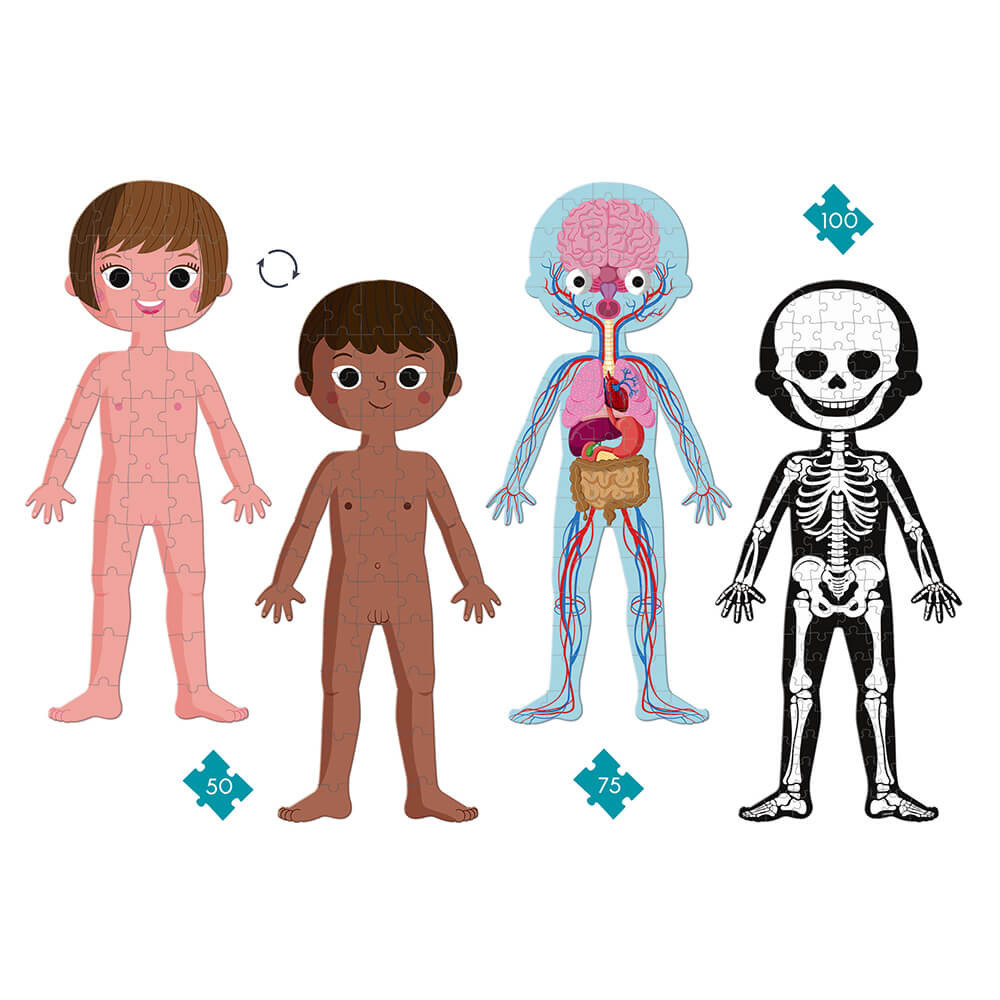 Human Body Puzzle For Kids