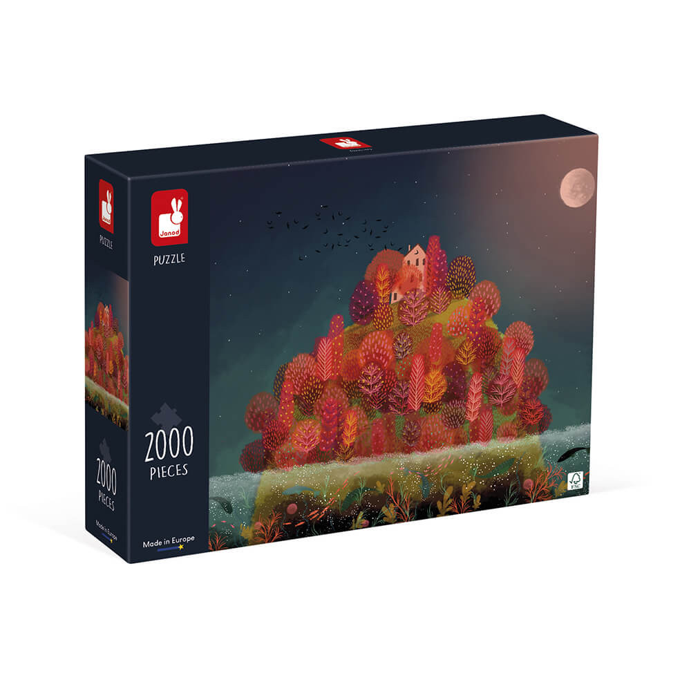 Puzzle Camion de couleur rouge - Puzzle - Puzzle 1000 pièces adultes -  Cadeaux